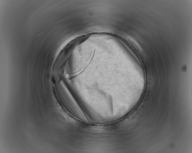 X0000090891182200708241955