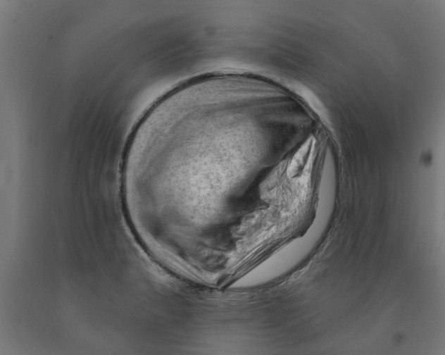 X0000090891183200708241955