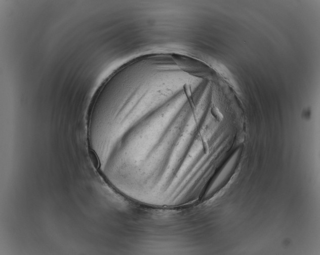 X0000090891184200708241955