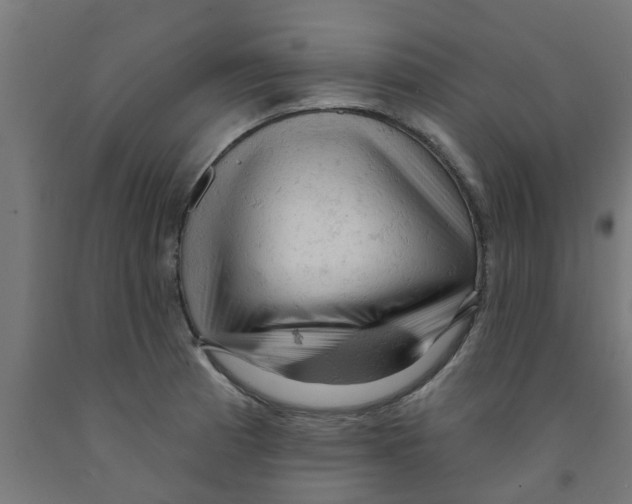 X0000090891185200708241955