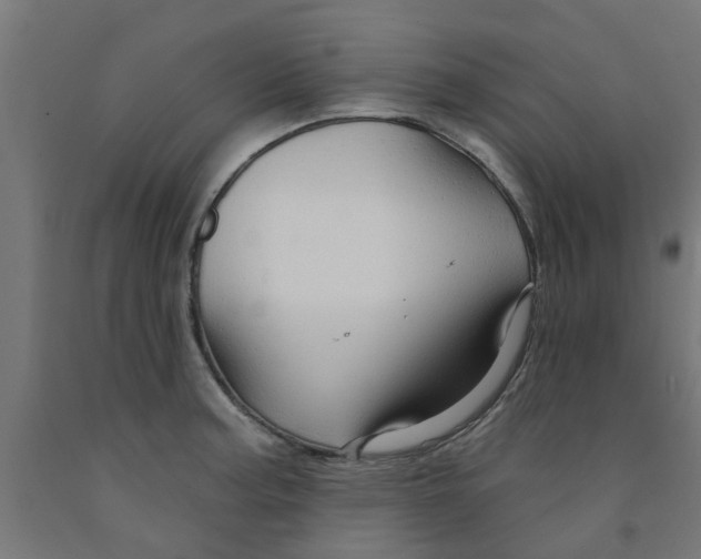 X0000090891187200708241955