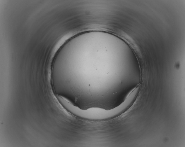 X0000090891188200708241955