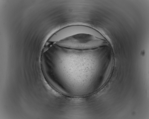 X0000090891189200708241955