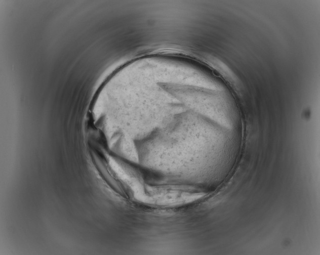 X0000090891190200708241955