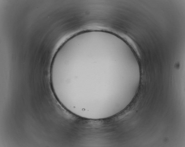 X0000090891191200708241955