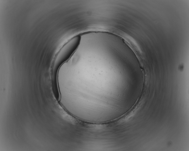 X0000090891192200708241955