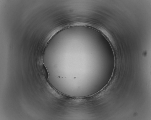 X0000090891193200708241955