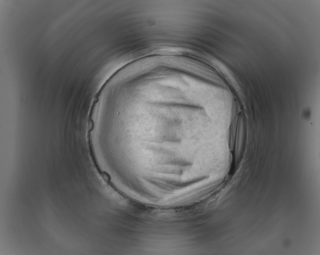 X0000090891194200708241955