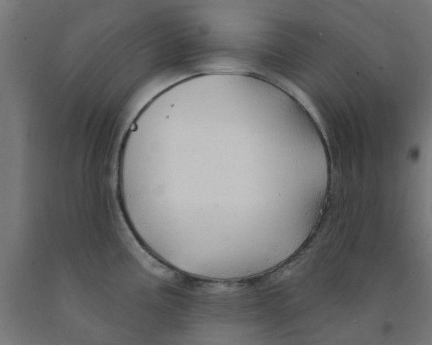 X0000090891195200708241955