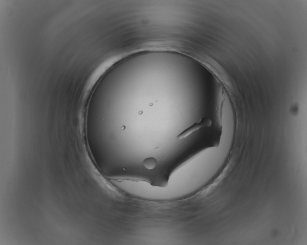 X0000090891196200708241955