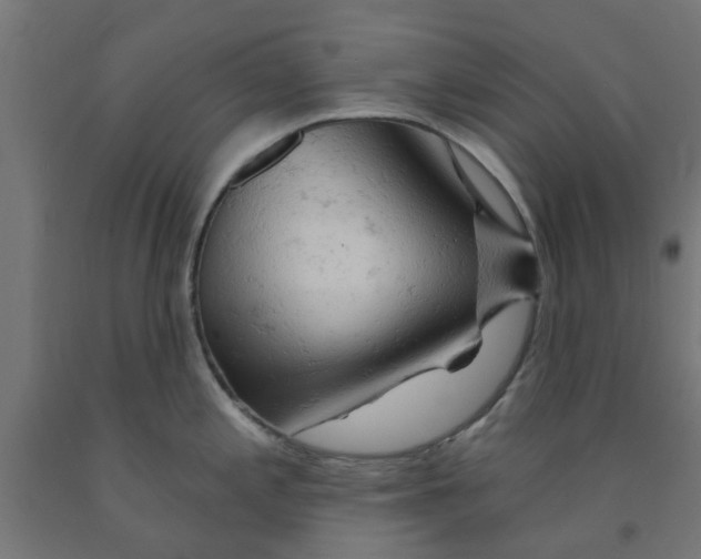 X0000090891197200708241955