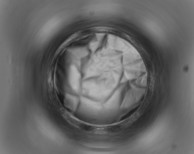 X0000090891198200708241955