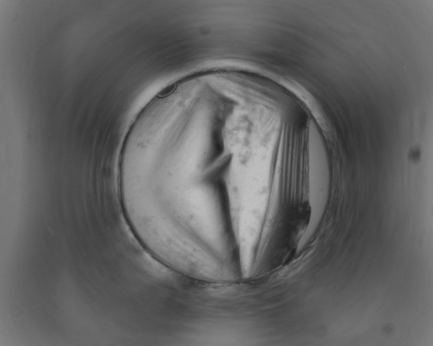 X0000090891199200708241955