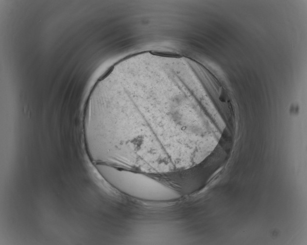 X0000090891200200708241955