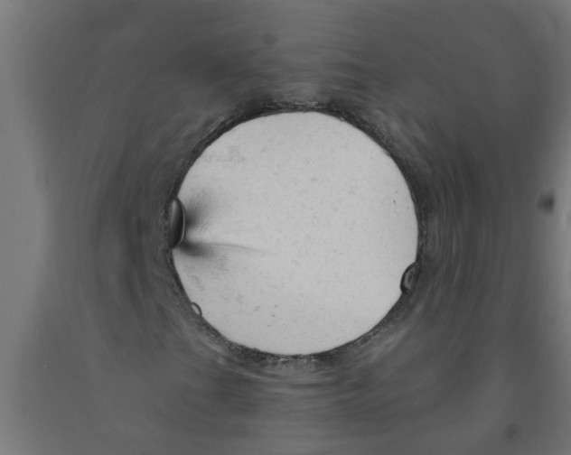 X0000090891201200708241954