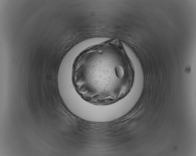 X0000090891202200708241954