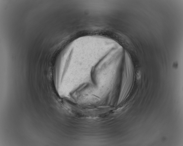 X0000090891204200708241954