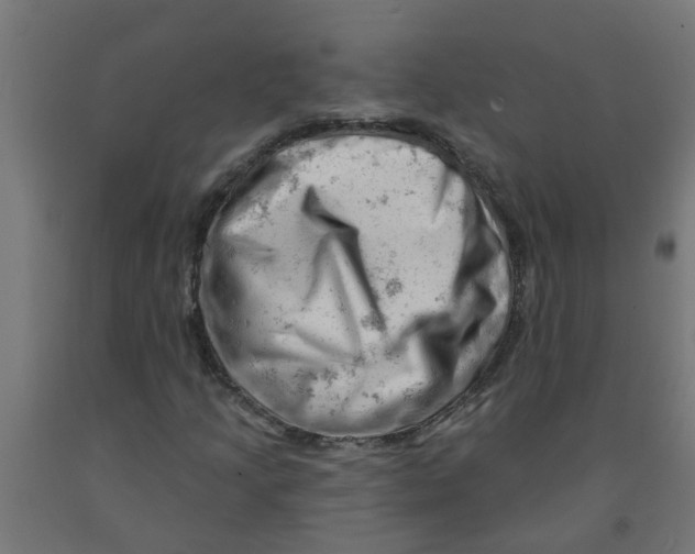 X0000090891205200708241954