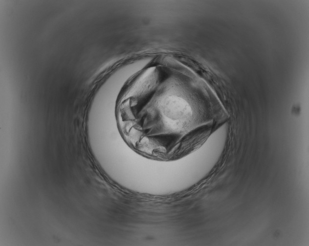 X0000090891206200708241954