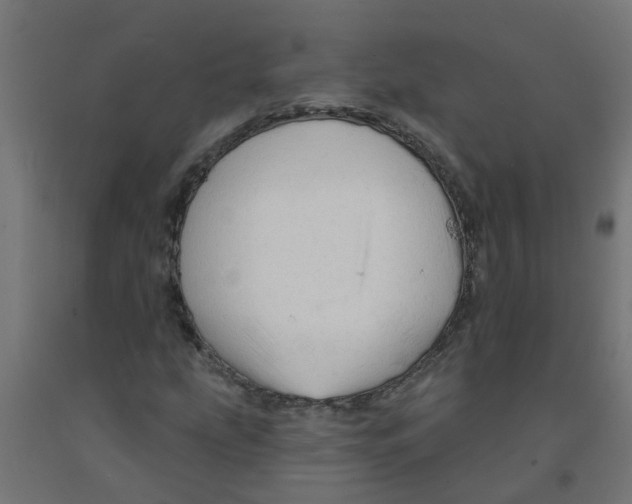 X0000090891207200708241954