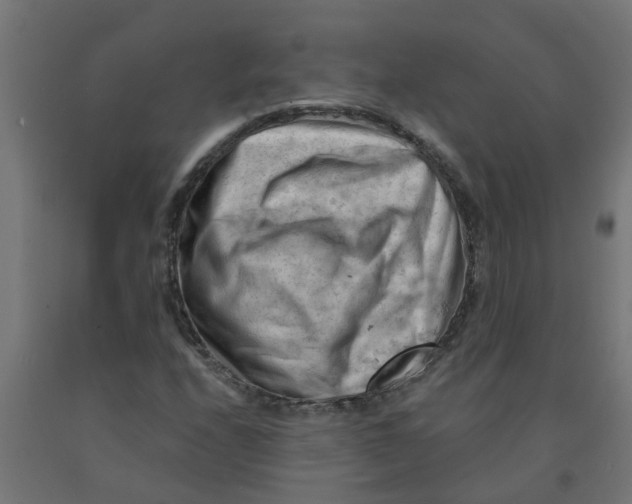 X0000090891208200708241954