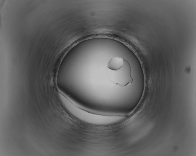 X0000090891209200708241954