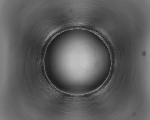 X0000090891210200708241954