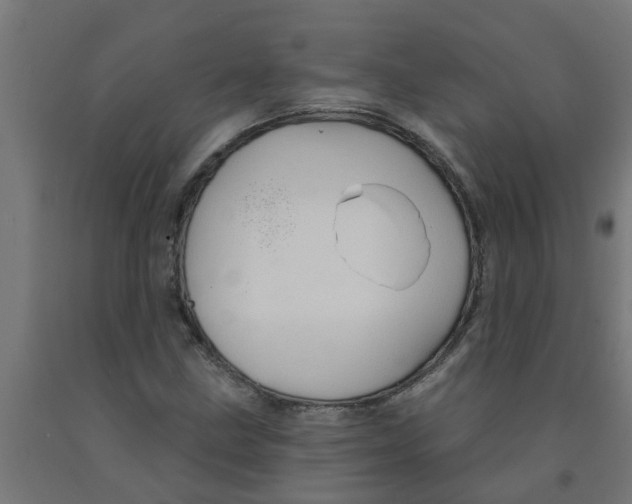 X0000090891211200708241954