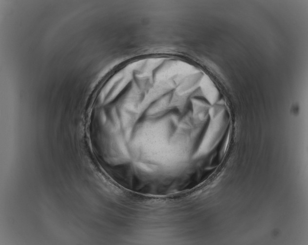 X0000090891212200708241954