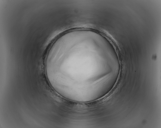 X0000090891215200708241954