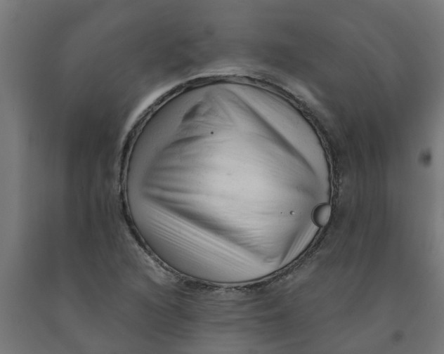 X0000090891216200708241954