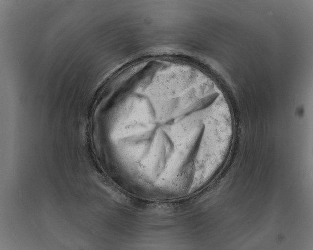 X0000090891217200708241954