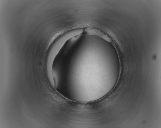 X0000090891218200708241954