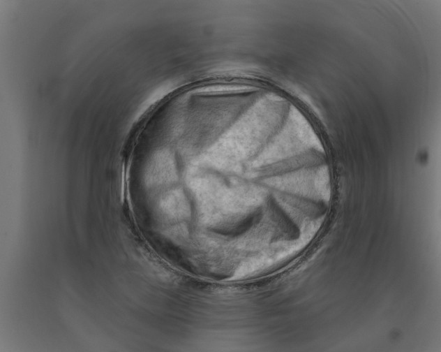 X0000090891219200708241954