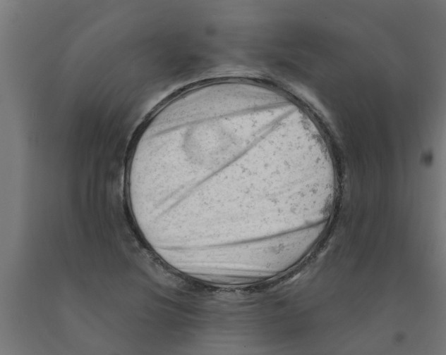 X0000090891220200708241954