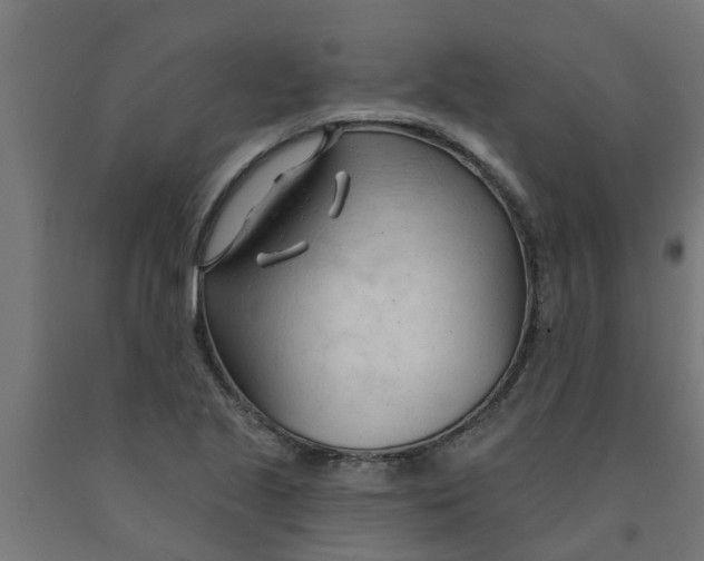 X0000090891221200708241954