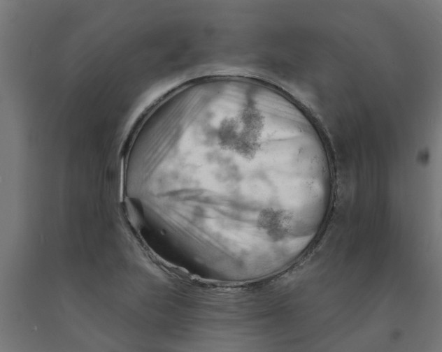 X0000090891223200708241955