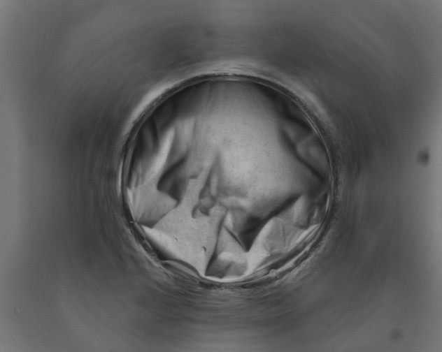 X0000090891224200708241955