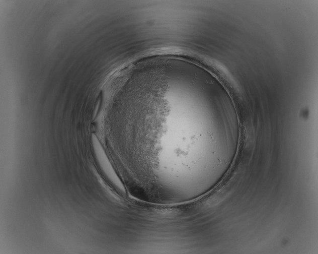 X0000090891225200708241955