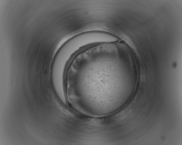 X0000090891226200708241955