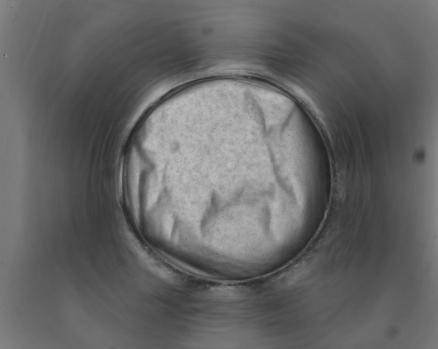 X0000090891227200708241955