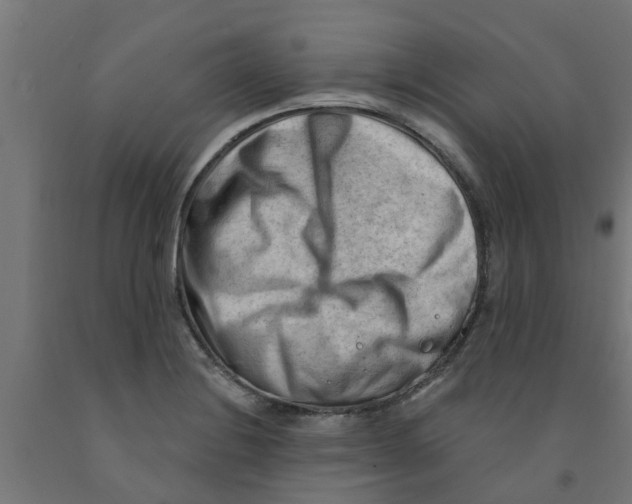 X0000090891228200708241955