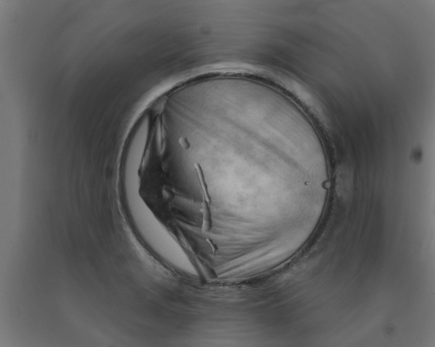 X0000090891229200708241955