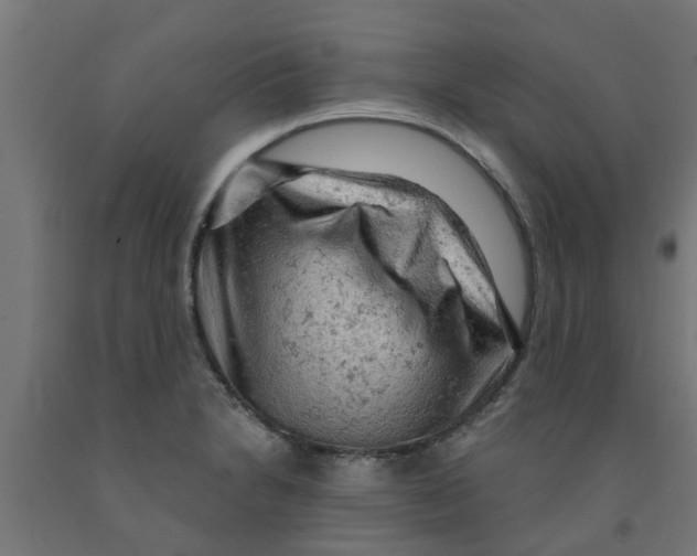 X0000090891230200708241955