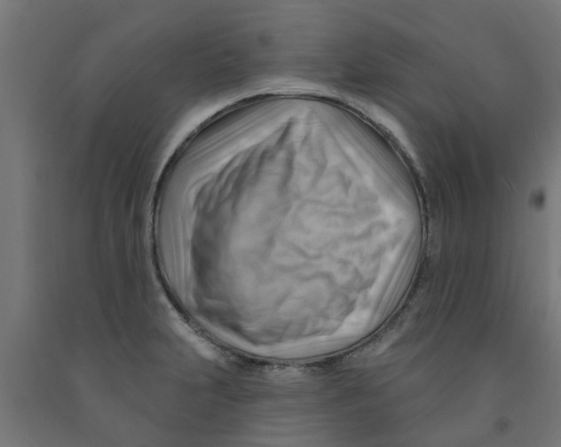 X0000090891231200708241955