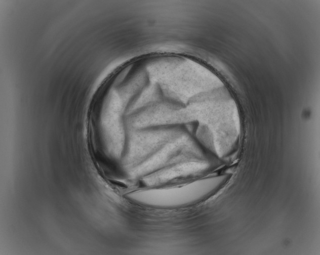 X0000090891232200708241955