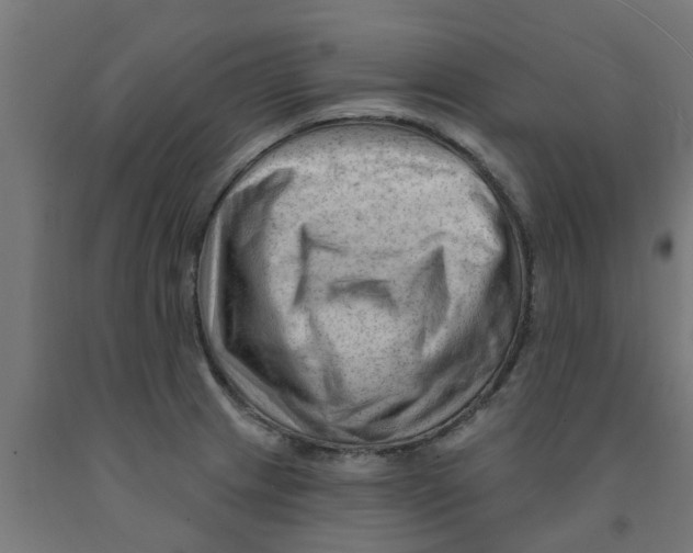 X0000090891233200708241955