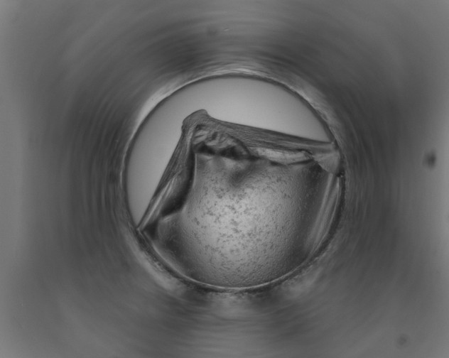 X0000090891234200708241955