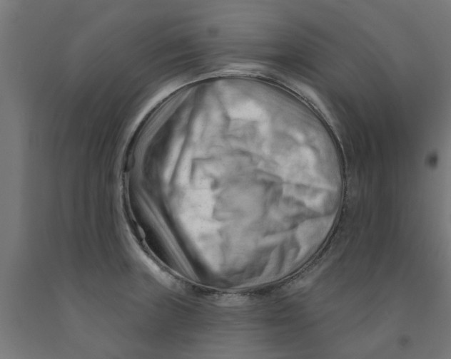 X0000090891235200708241955