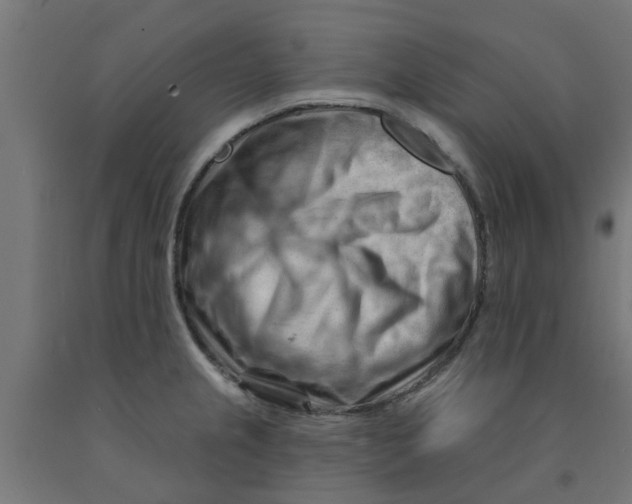 X0000090891237200708241955